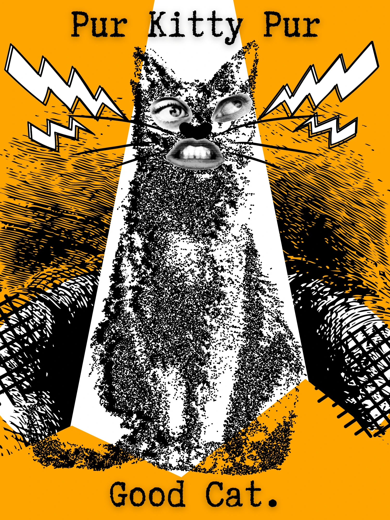 Good Kitty Orange