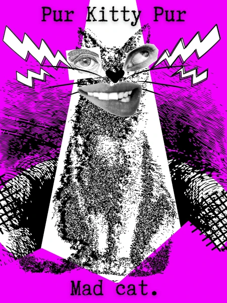 Purple Cheshire Cat poster — newsletter vibe image.